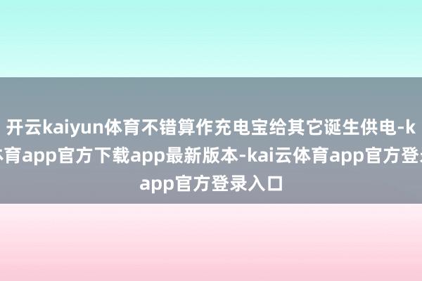 开云kaiyun体育不错算作充电宝给其它诞生供电-kai云体育app官方下载app最新版本-kai云体育app官方登录入口